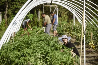  Mit jelent a szociális farm a Baráthegyi Majorságban? galéria kép 1 