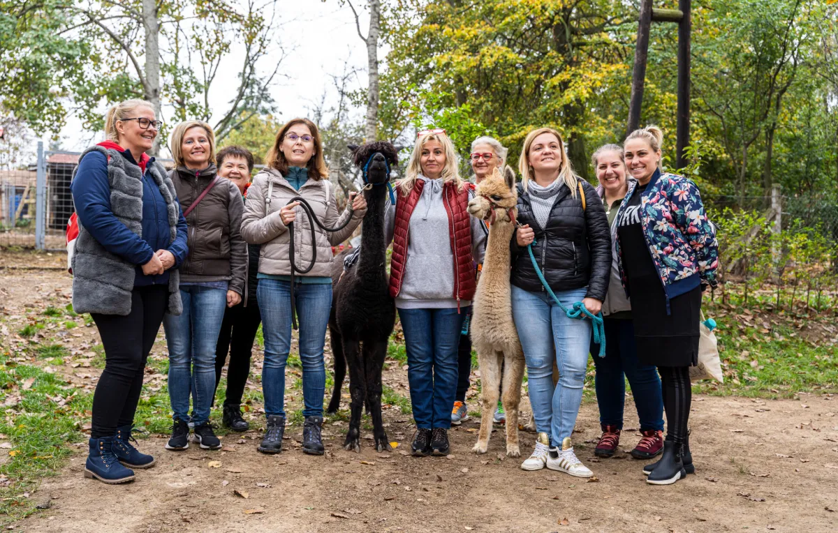 Látogatás előzetes egyeztetéssel - Baráthegyi Majorság