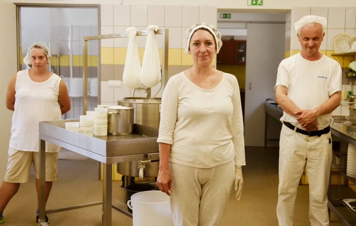 Munka, amely számít - Baráthegyi Majorság