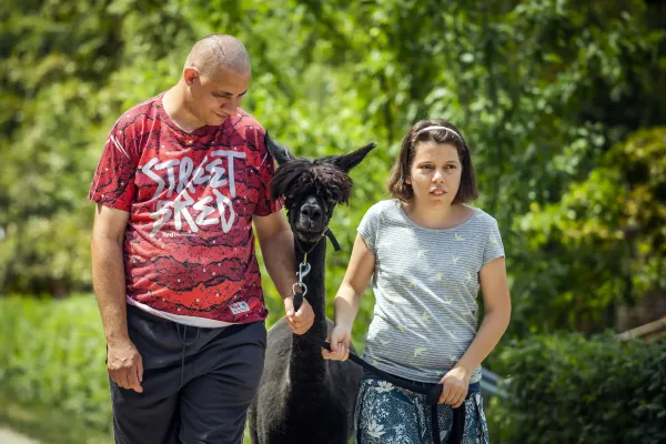 5. kép - Baráthegyi Majorság